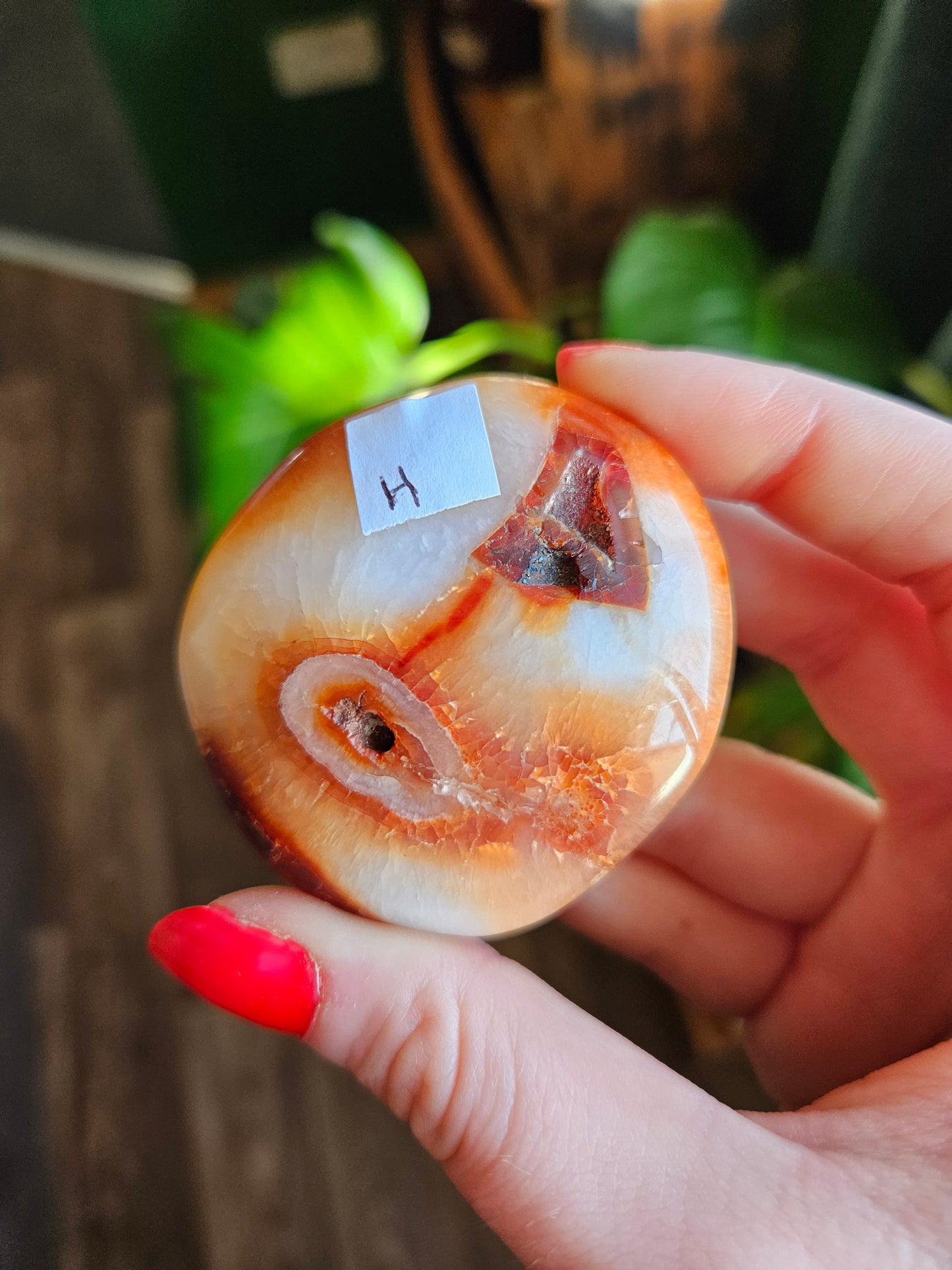 Mango Carnelian palmstone