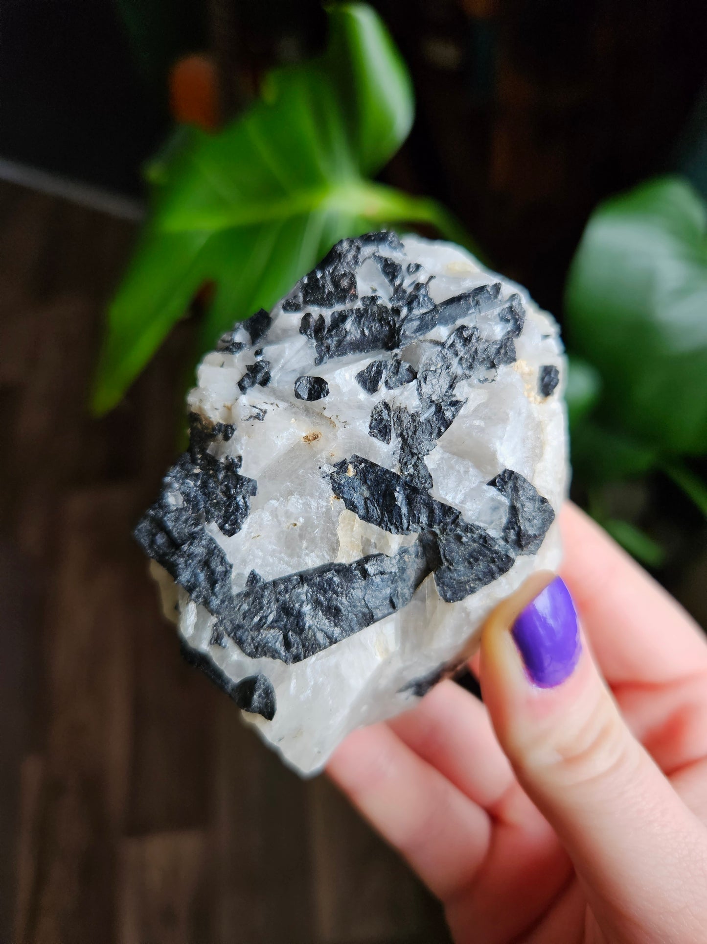 Black Tourmaline in Quartz - 280g