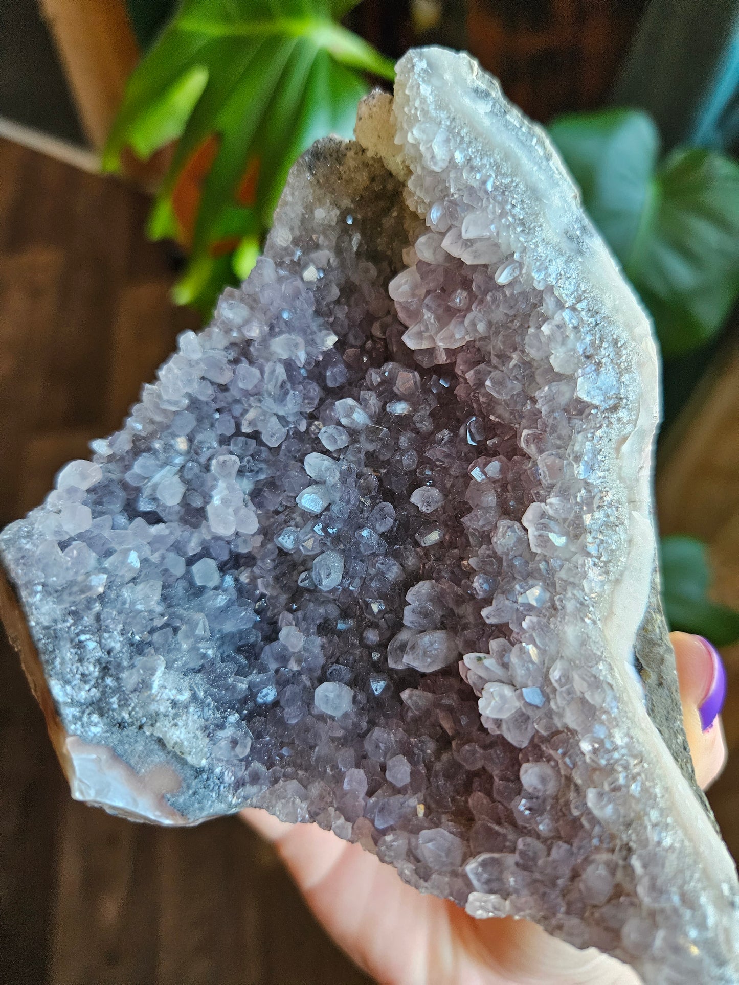 Large Grape Amethyst geode