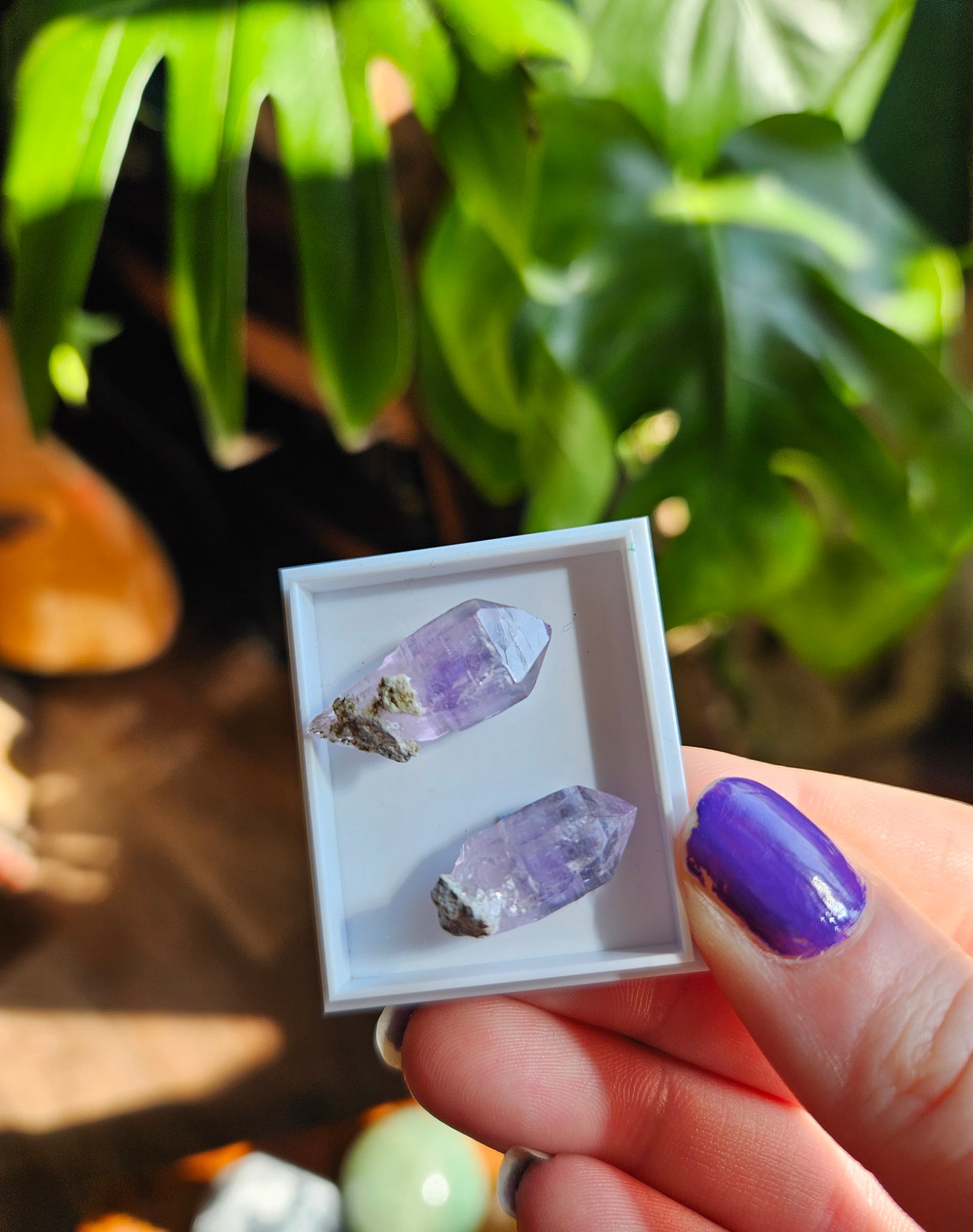 Vera Cruz Amethyst twin points