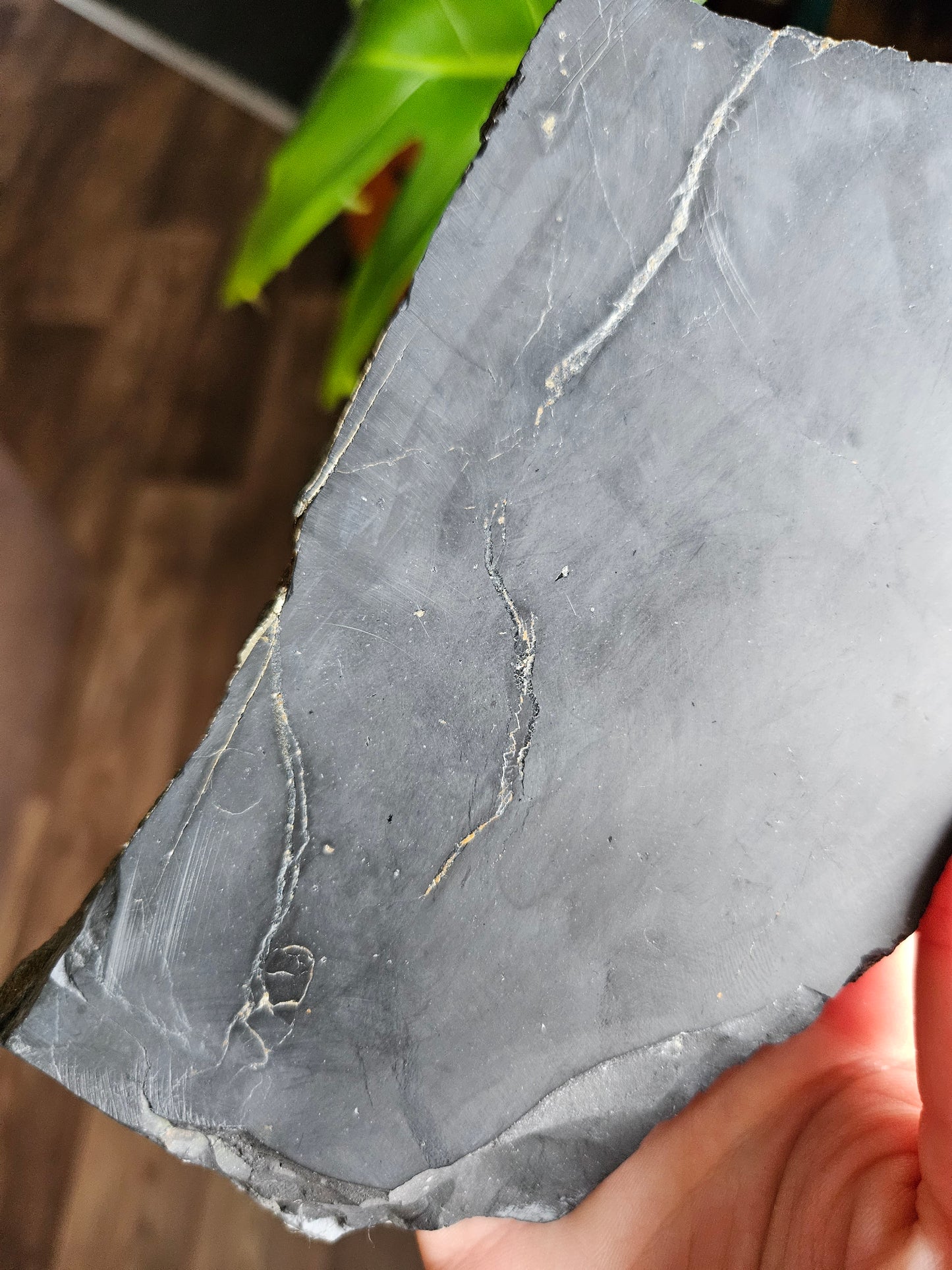 XL Shungite slice with Pyrite