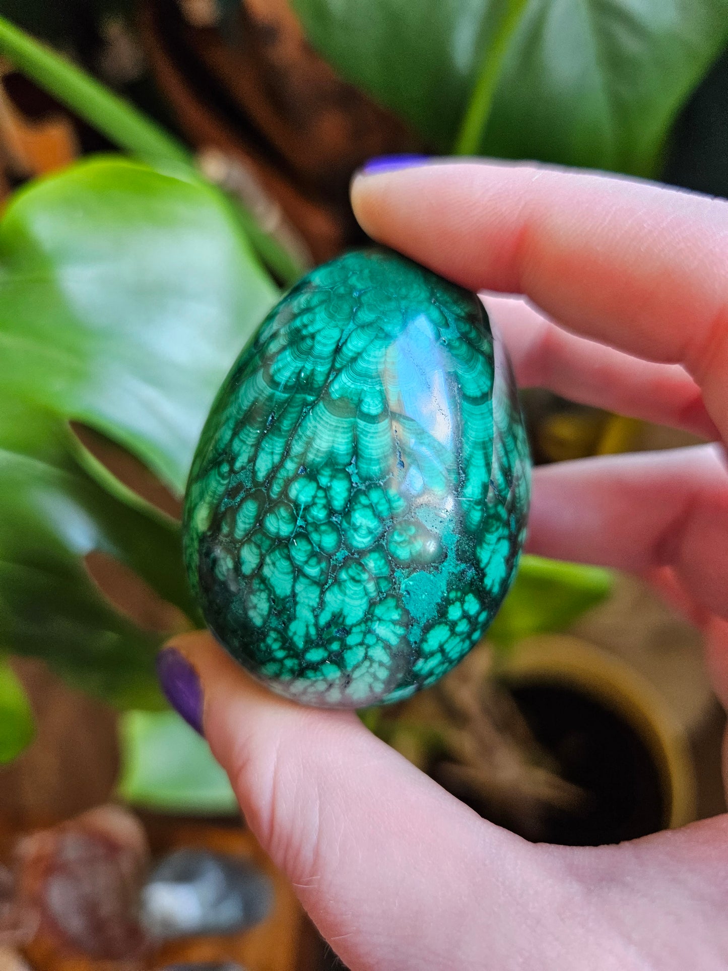 Malachite egg