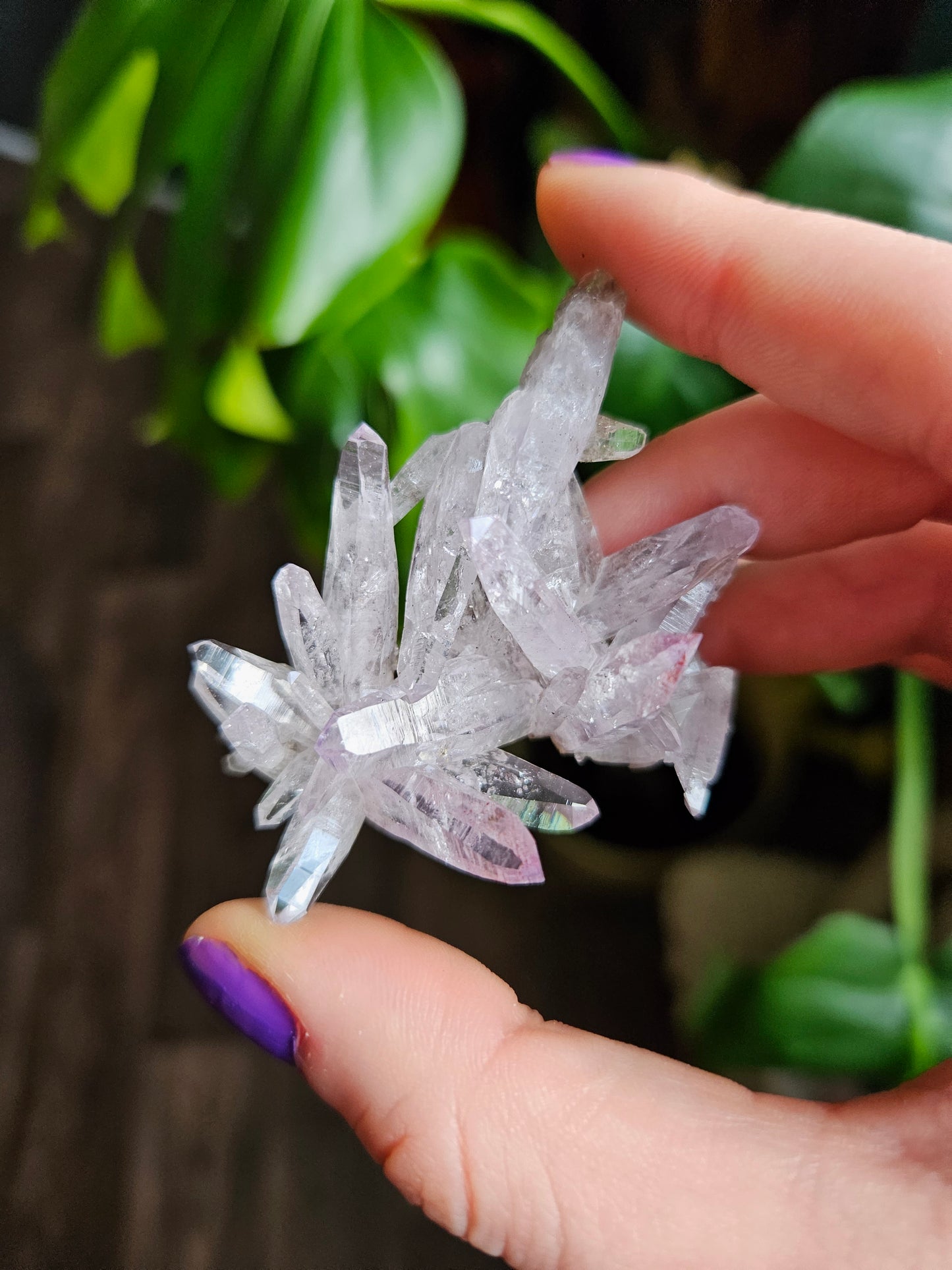 Vera Cruz Amethyst