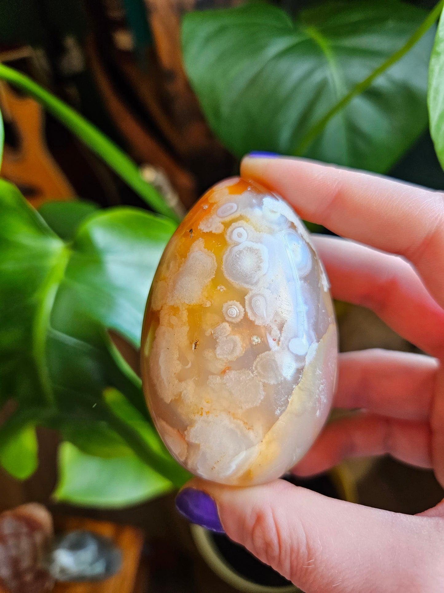 Flower Agate egg