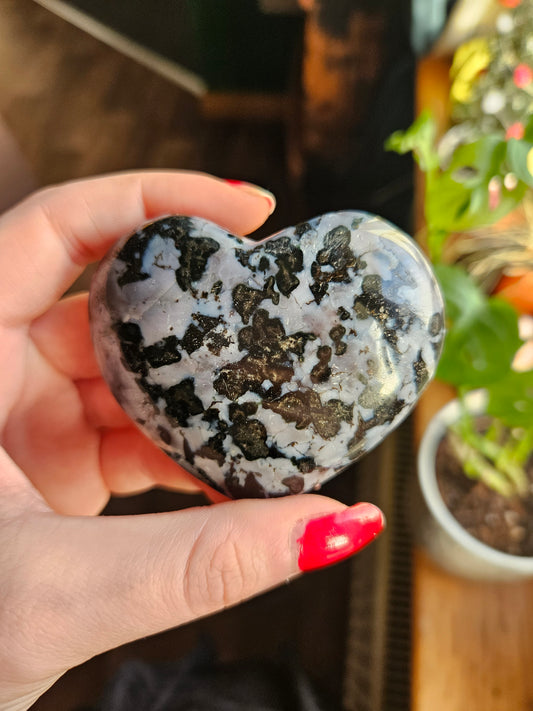 Indigo Gabbro heart