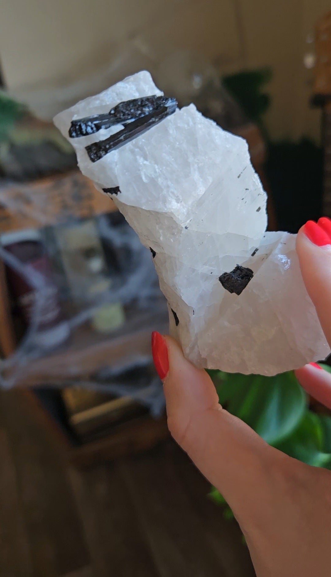 Black Tourmaline in Quartz - 301g
