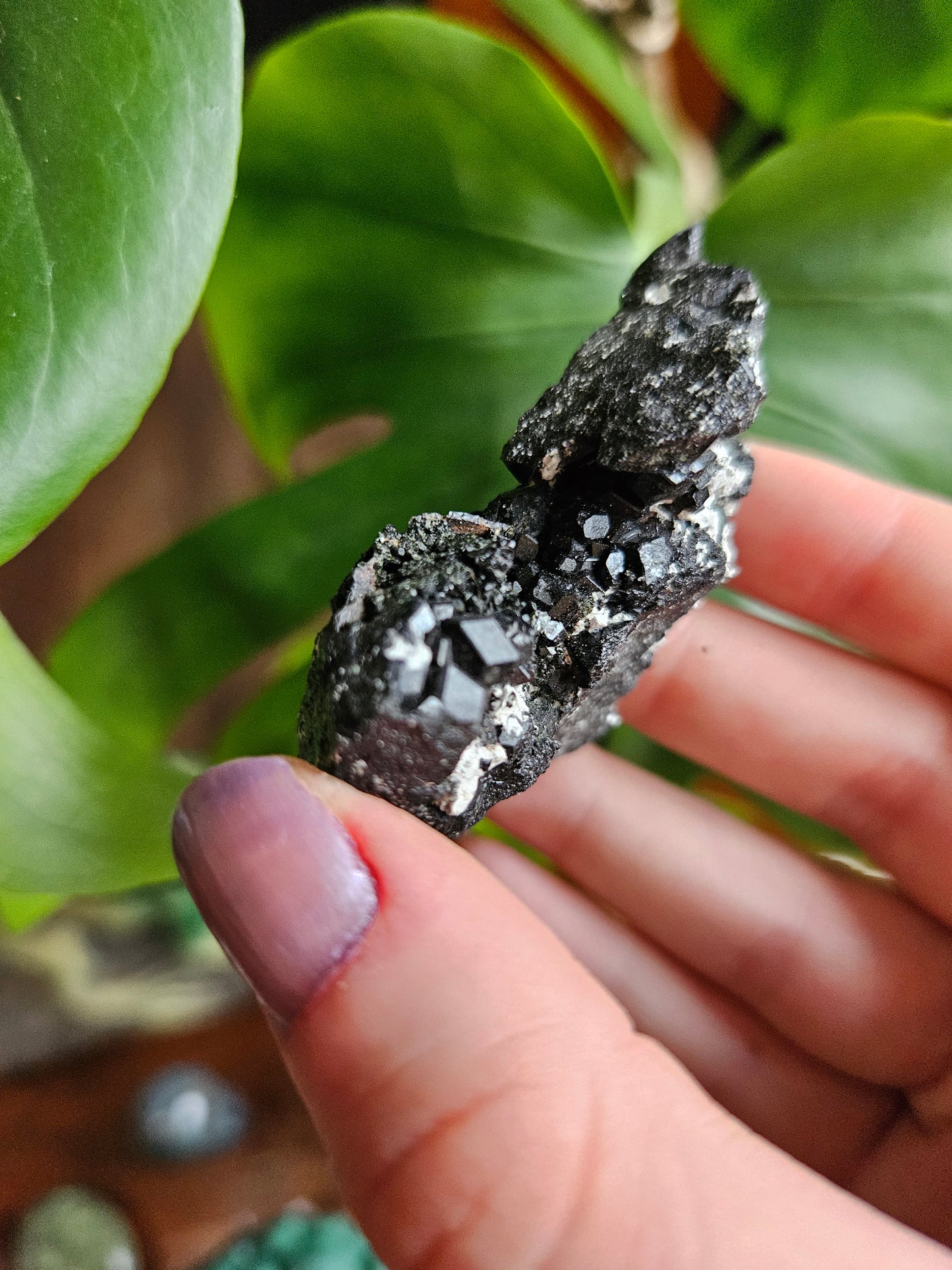 Melanite Black Garnet specimen