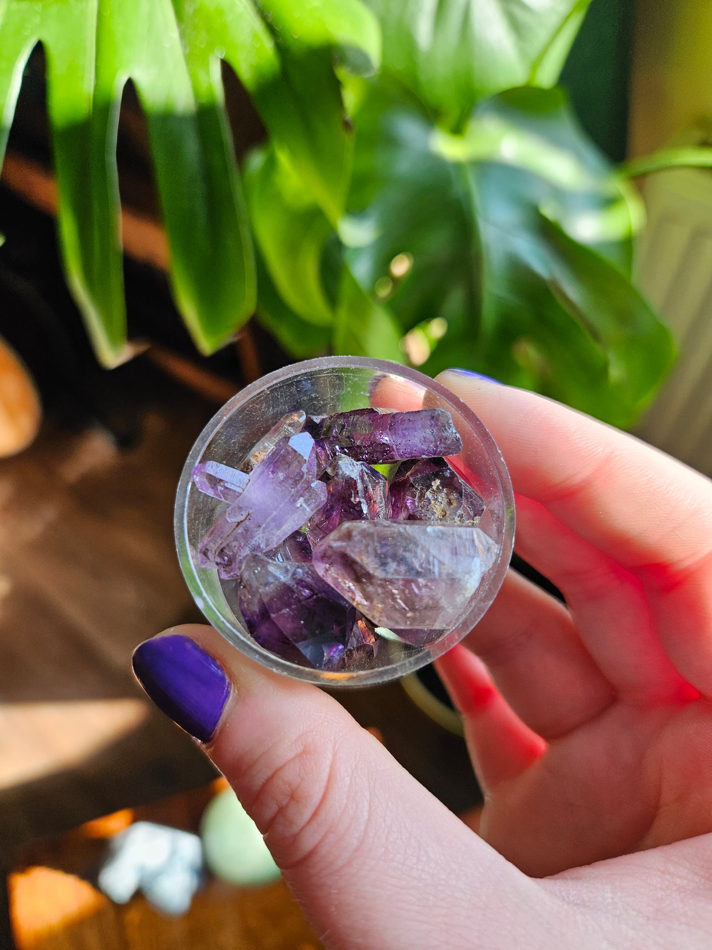 Chiredzi Shangaan Amethyst points in case