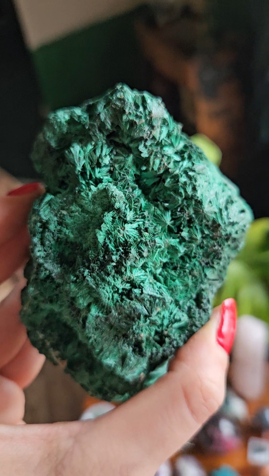 XL Velvet Malachite specimen - 455g
