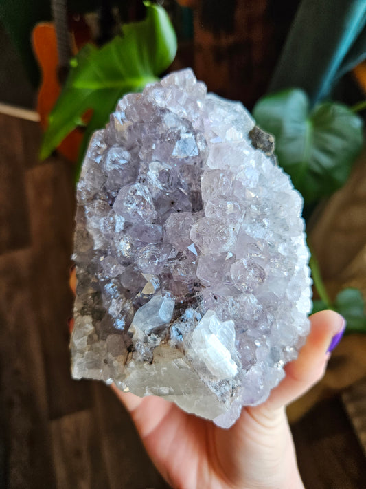 XL lilac Amethyst geode