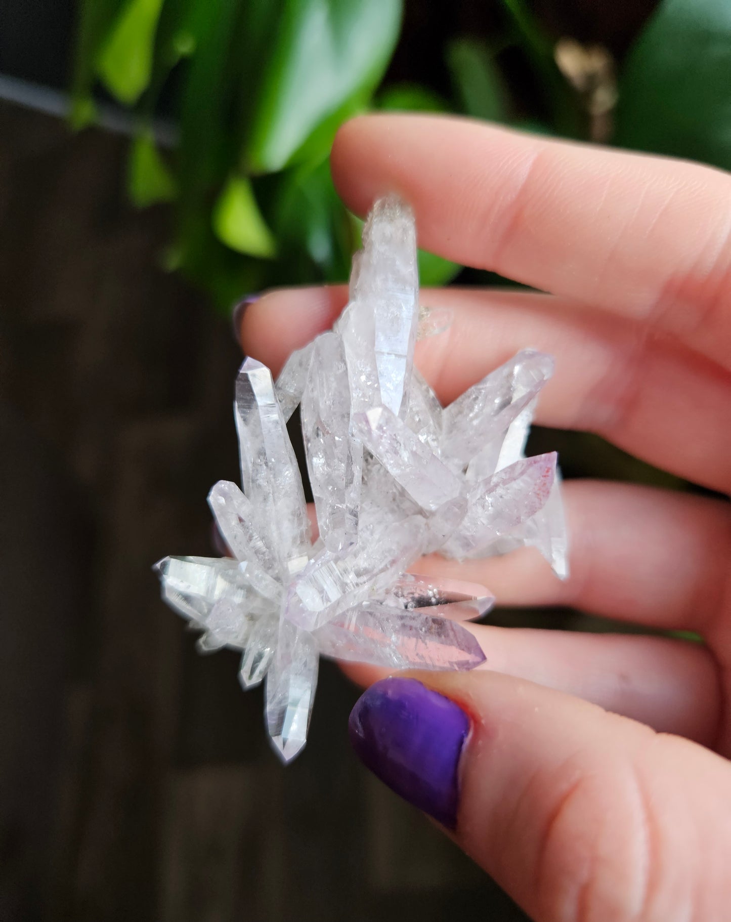 Vera Cruz Amethyst