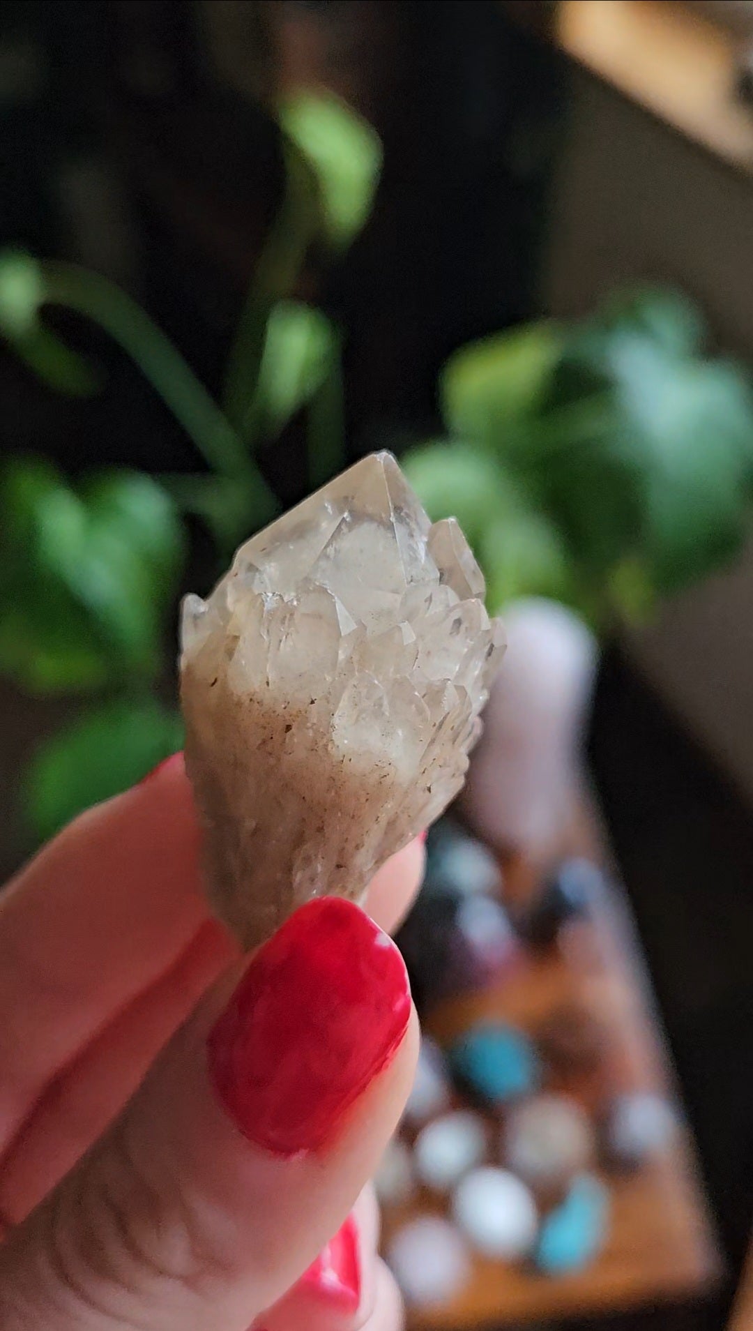 Kundalini Citrine - 21g