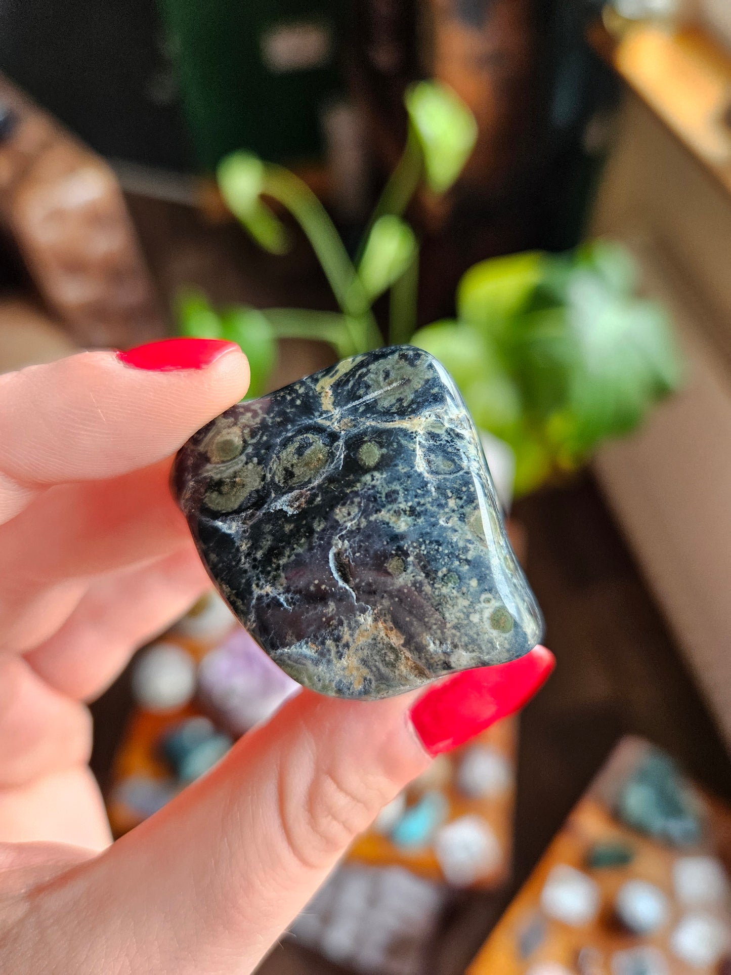 Kambaba Jasper tumble