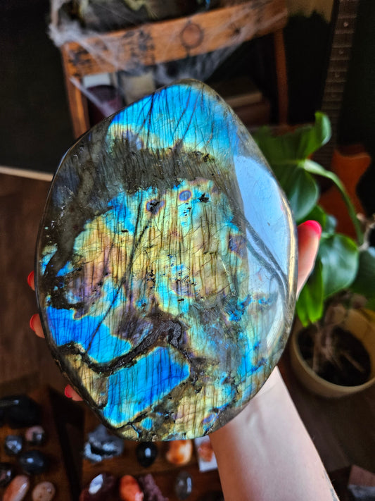 Showstopping XL Blue Labradorite freeform - 2.38kg