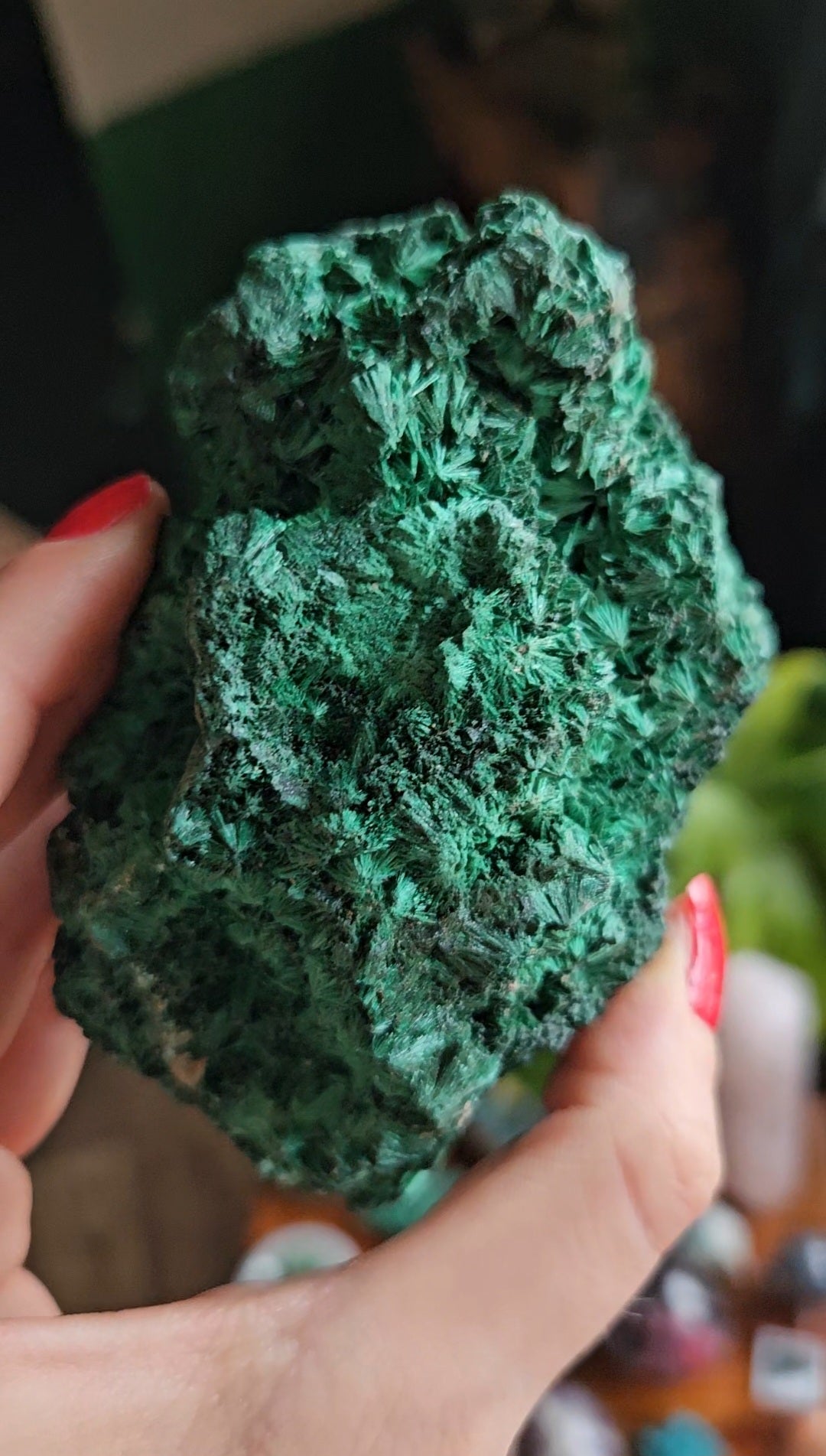 XL Velvet Malachite specimen - 455g