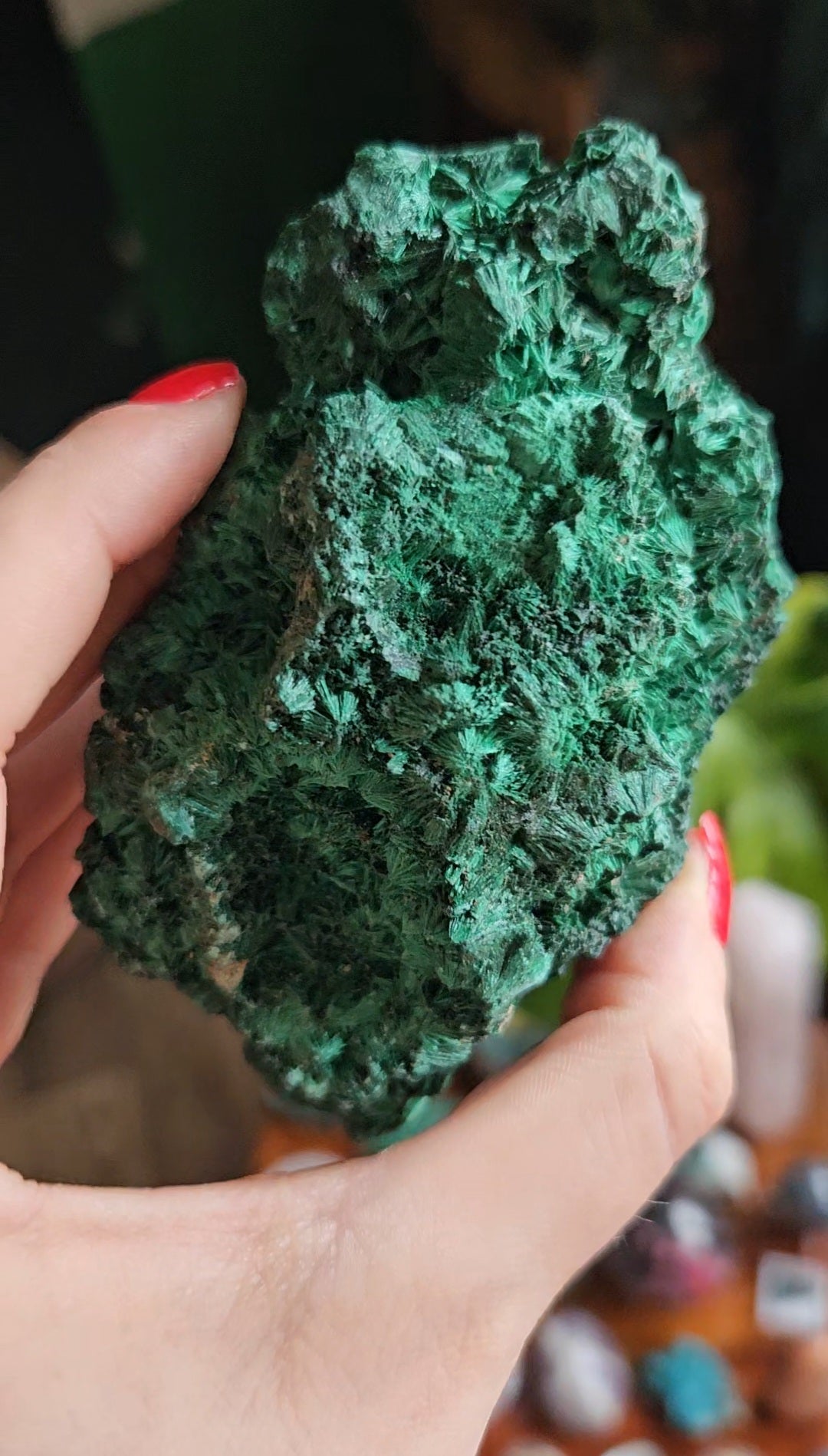XL Velvet Malachite specimen - 455g