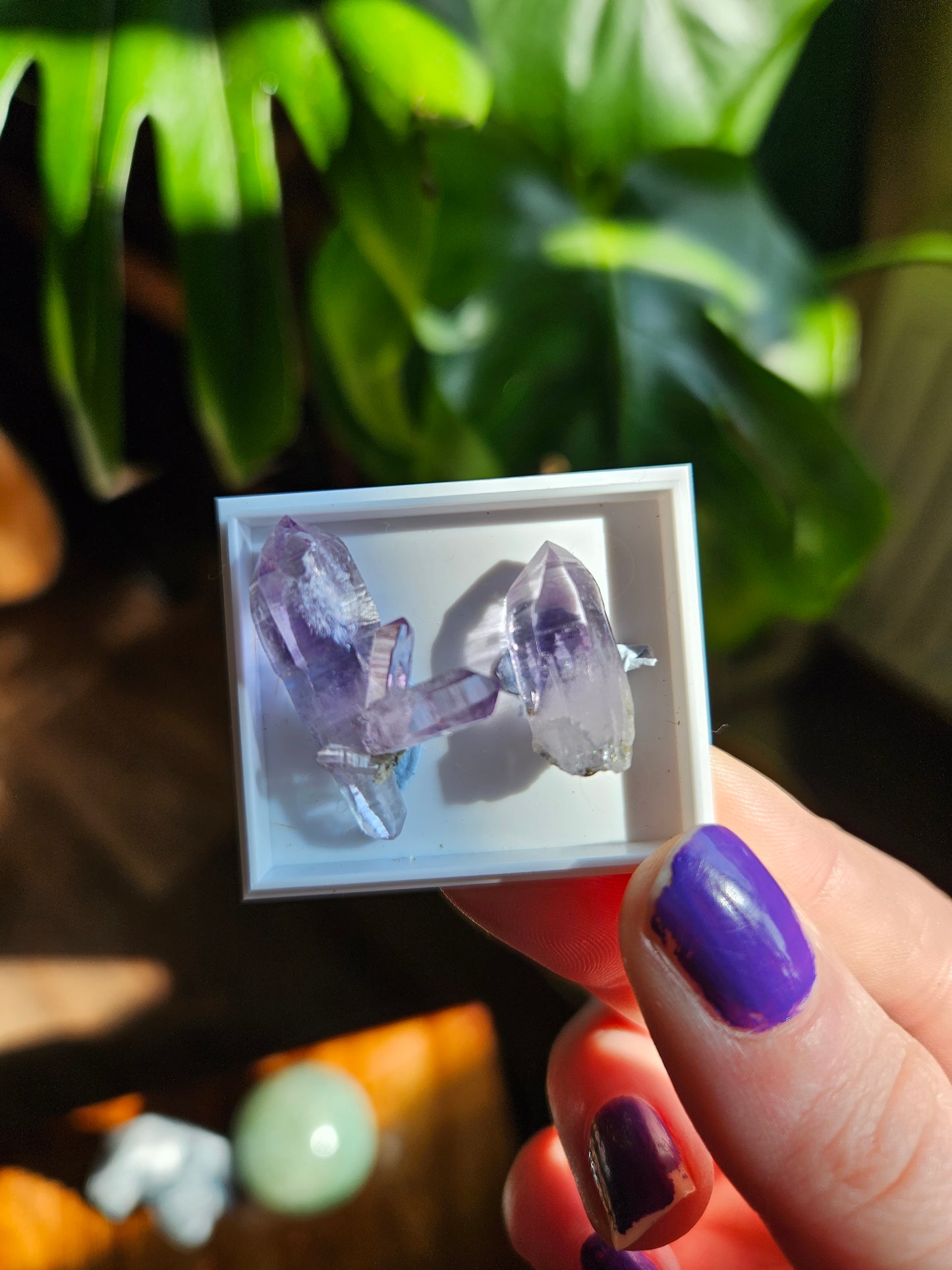 Vera Cruz Amethyst twin points