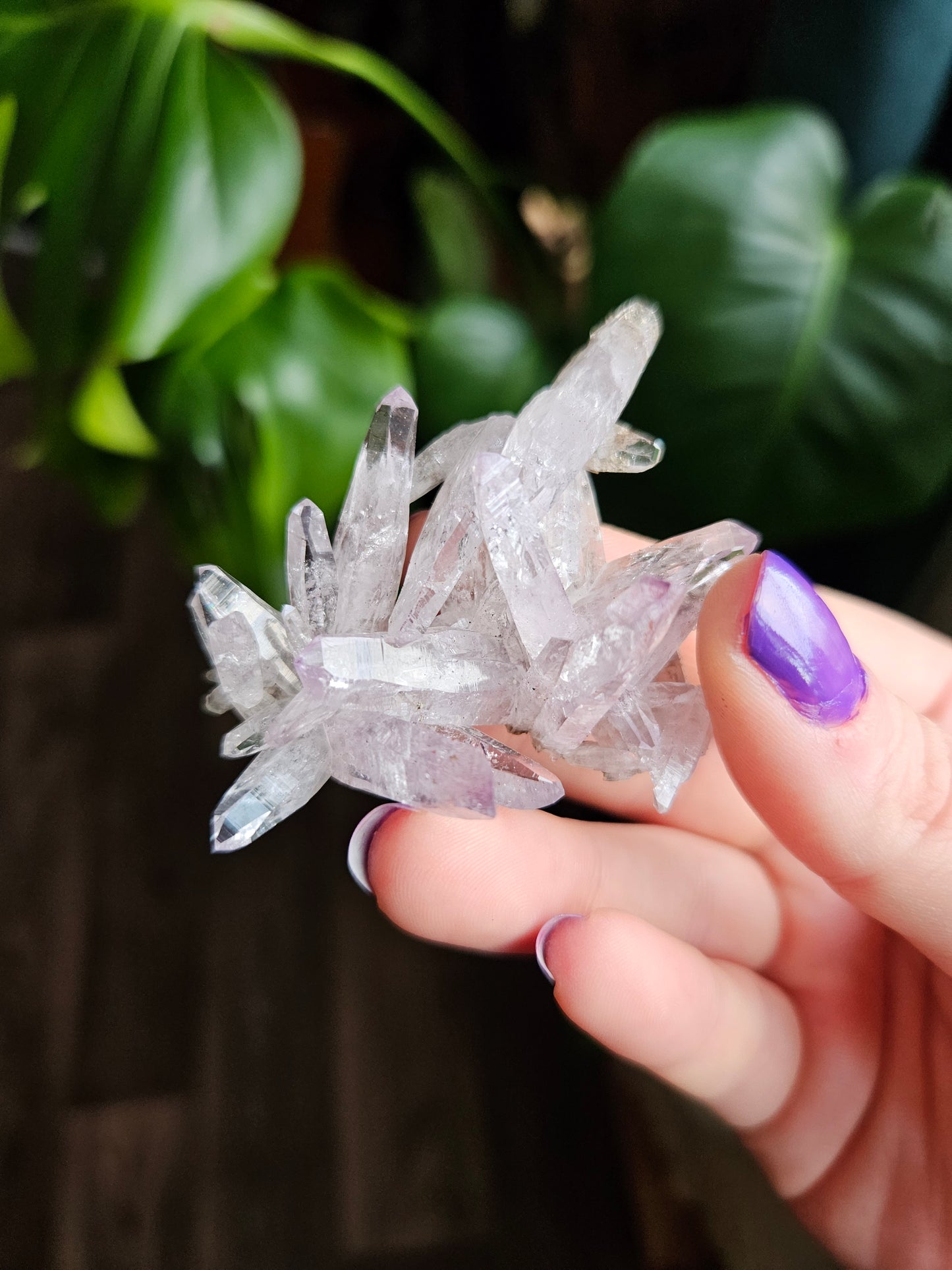 Vera Cruz Amethyst