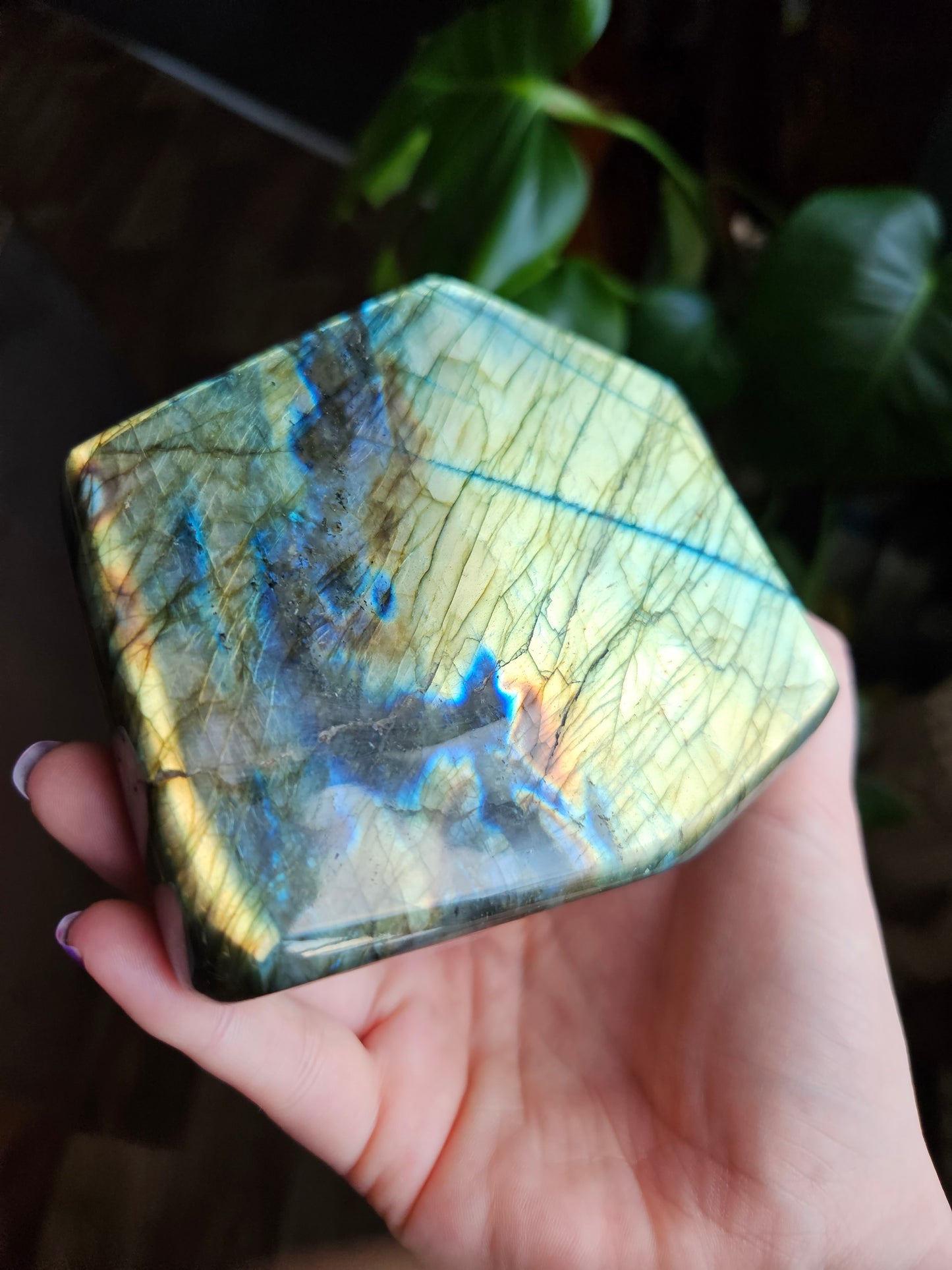 XL Labradorite freeform - 935g