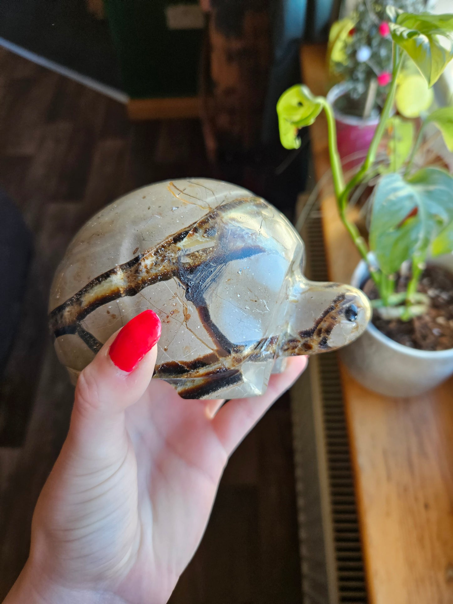 Amazing Septarian turtle carving - 1.1kg