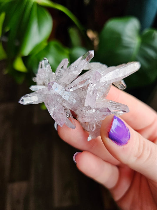 Vera Cruz Amethyst