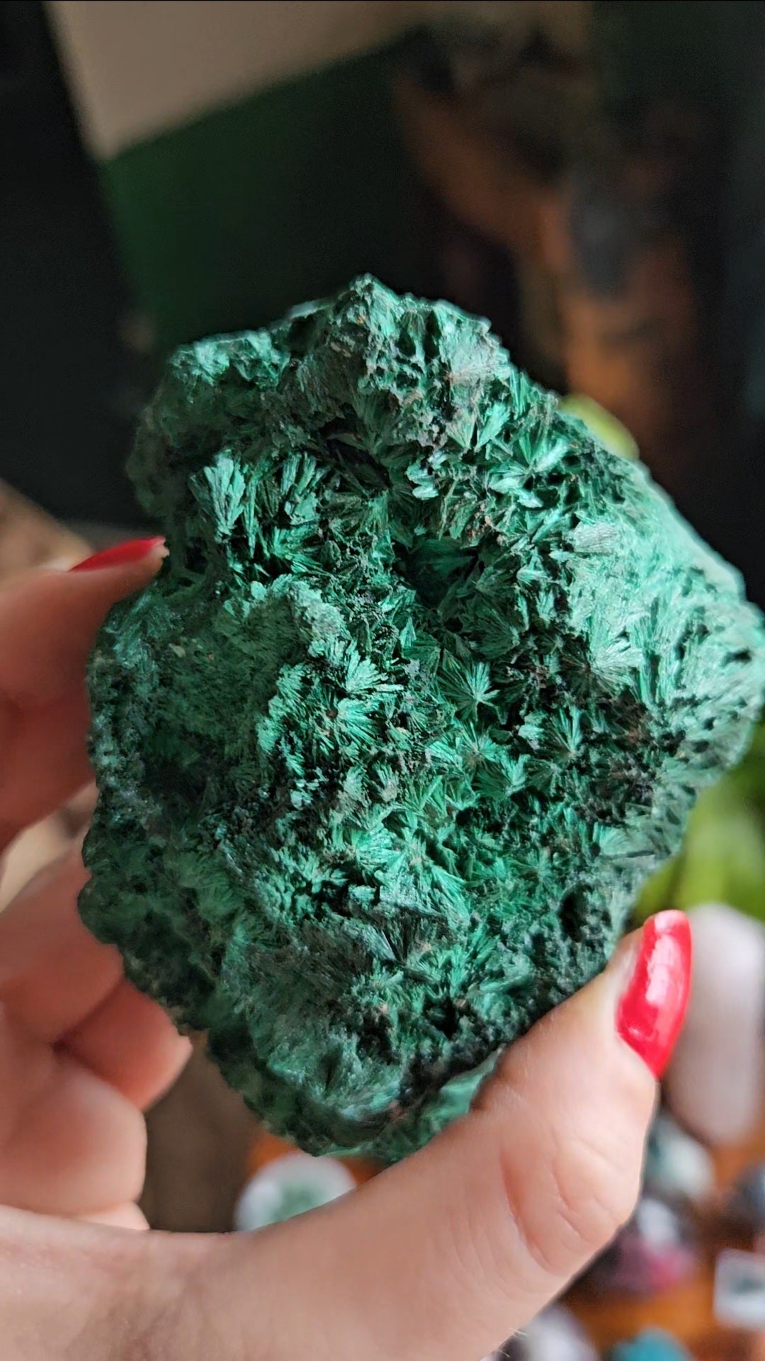 XL Velvet Malachite specimen - 455g