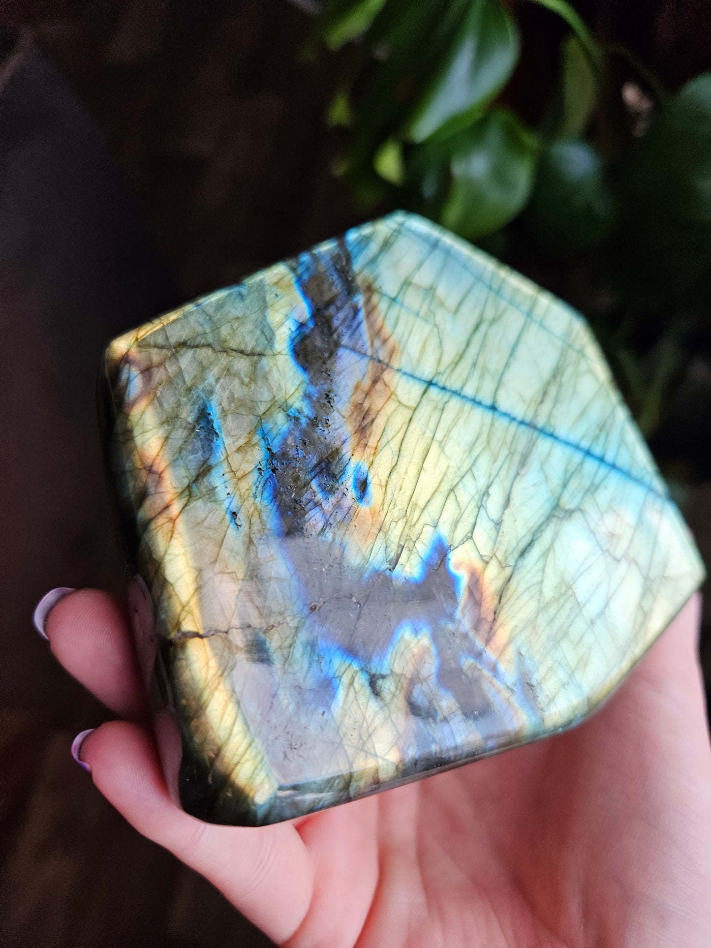 XL Labradorite freeform - 935g