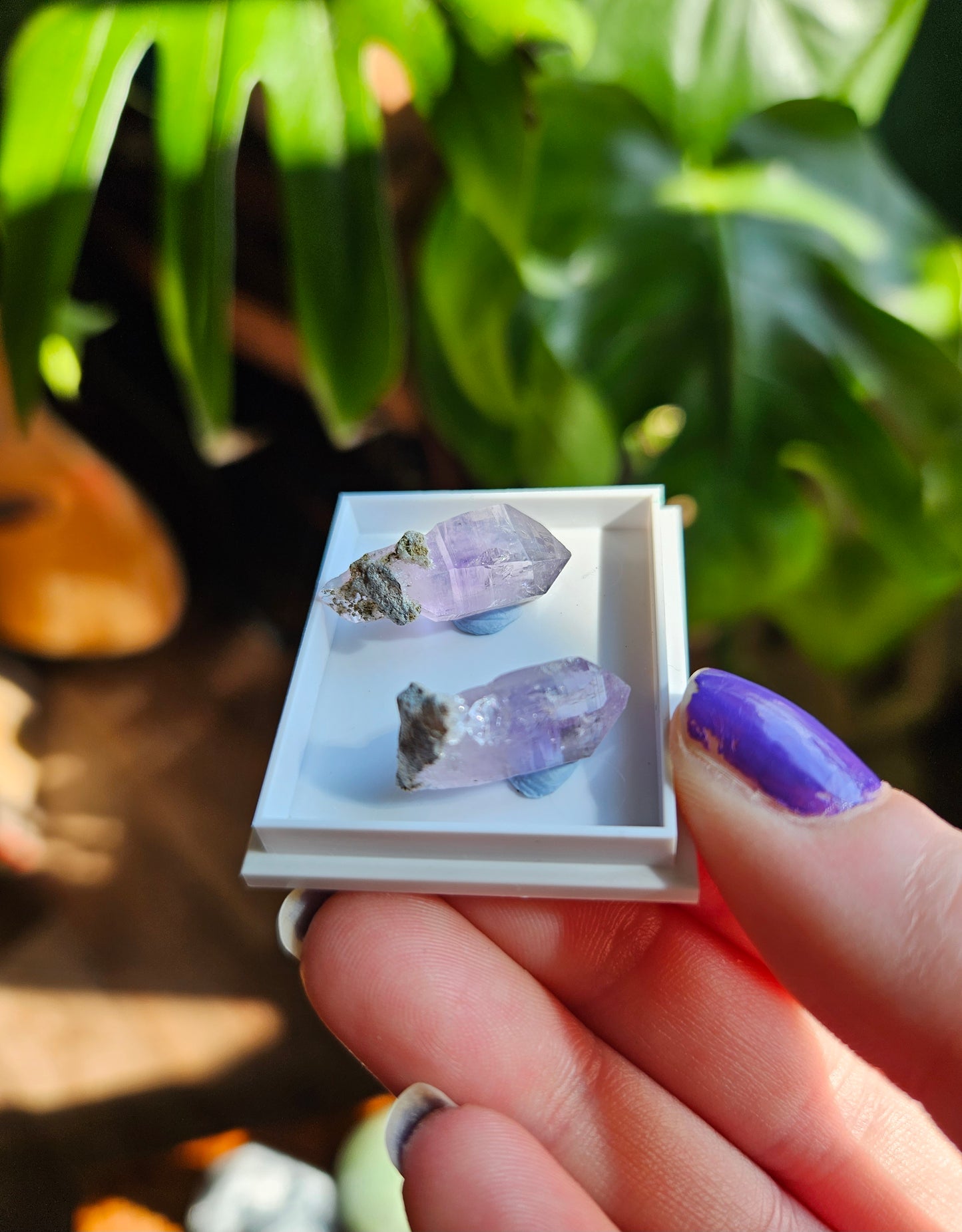 Vera Cruz Amethyst twin points