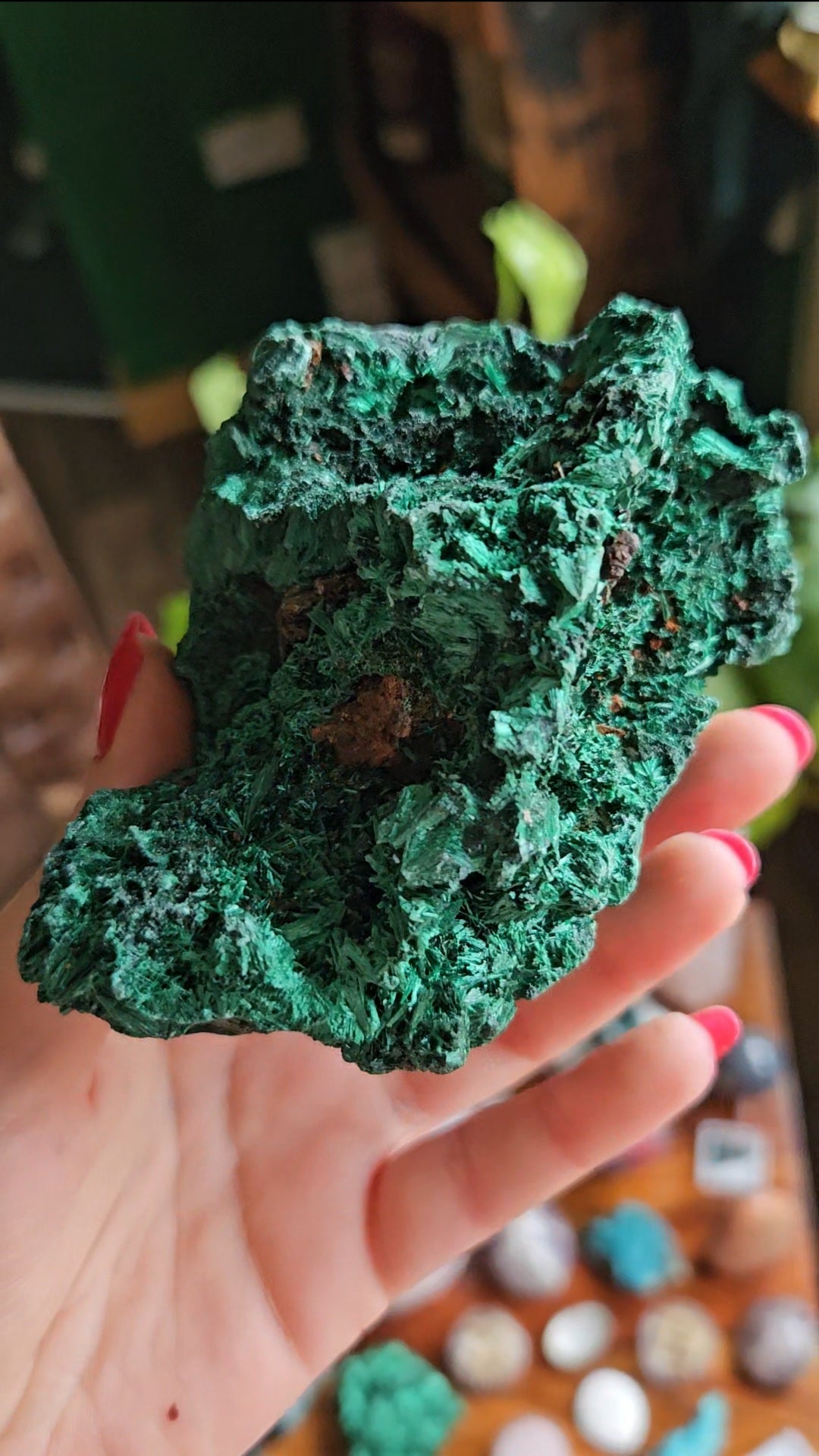 XL Velvet Malachite specimen - 455g