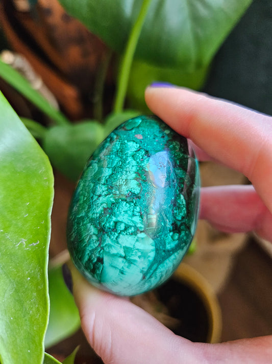 Malachite egg