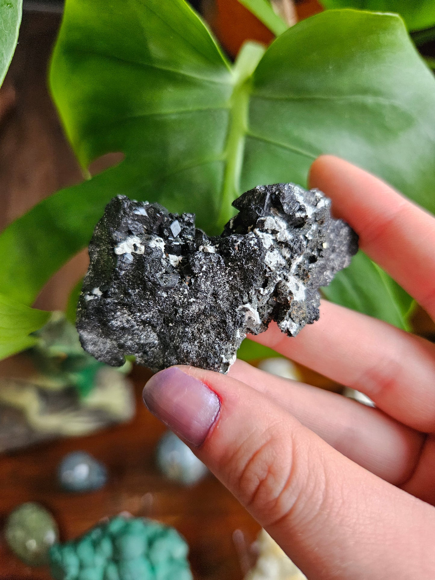 Melanite Black Garnet specimen