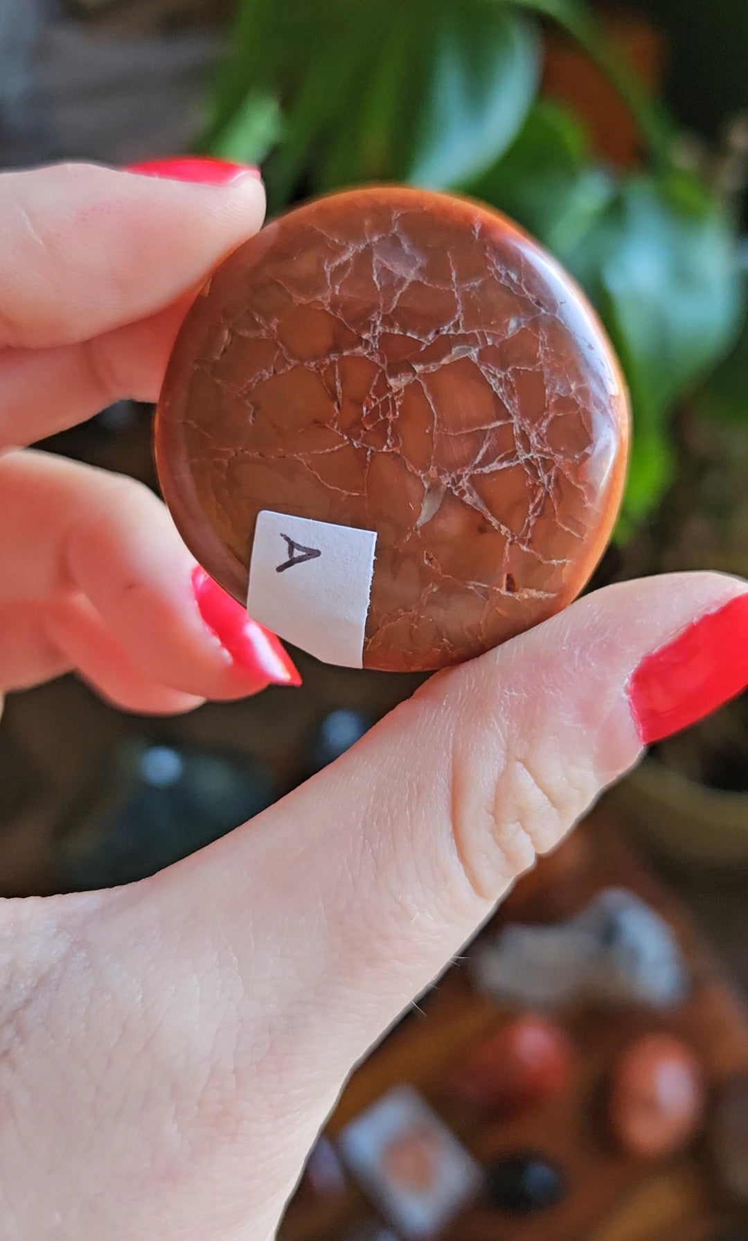 Mini Carnelian palmstone