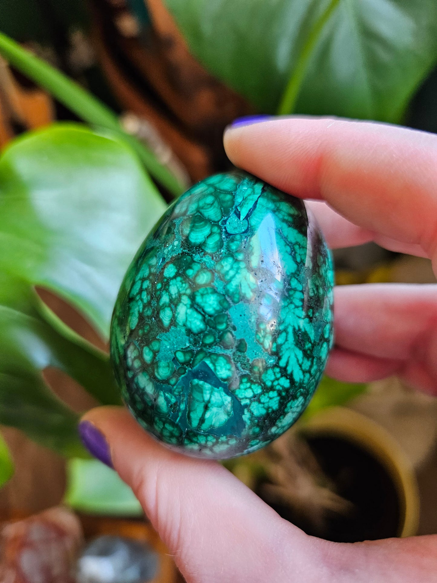 Malachite egg