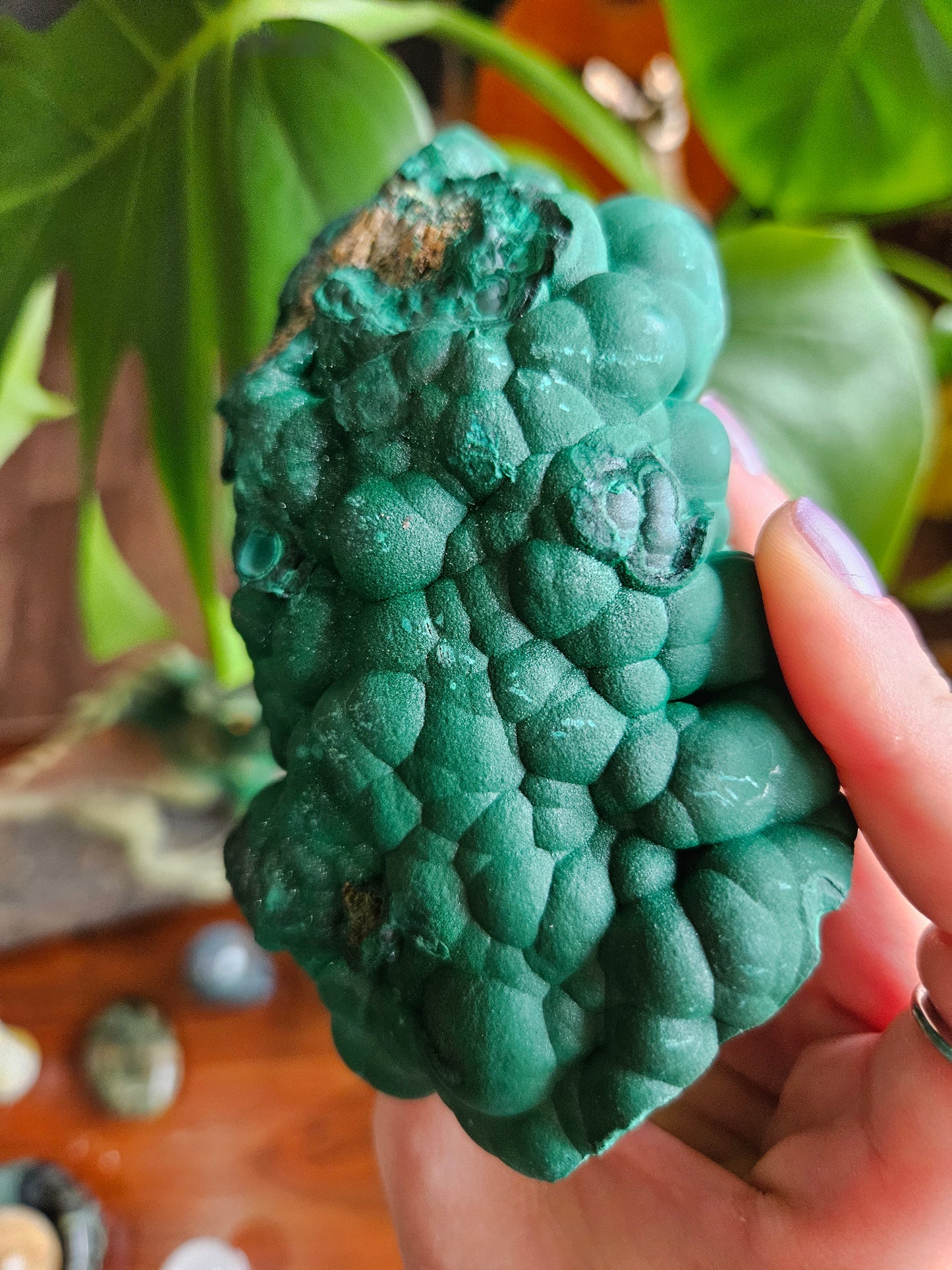 Magnificent Botryoidal Malachite - XL 869g