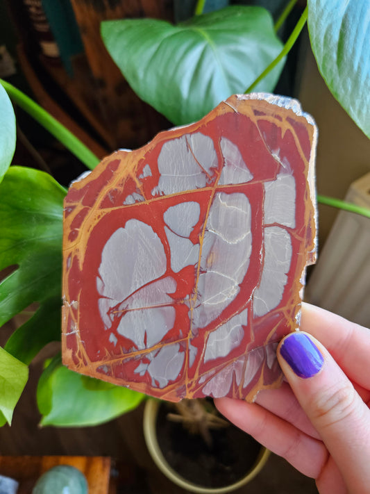 Noreena Jasper slice