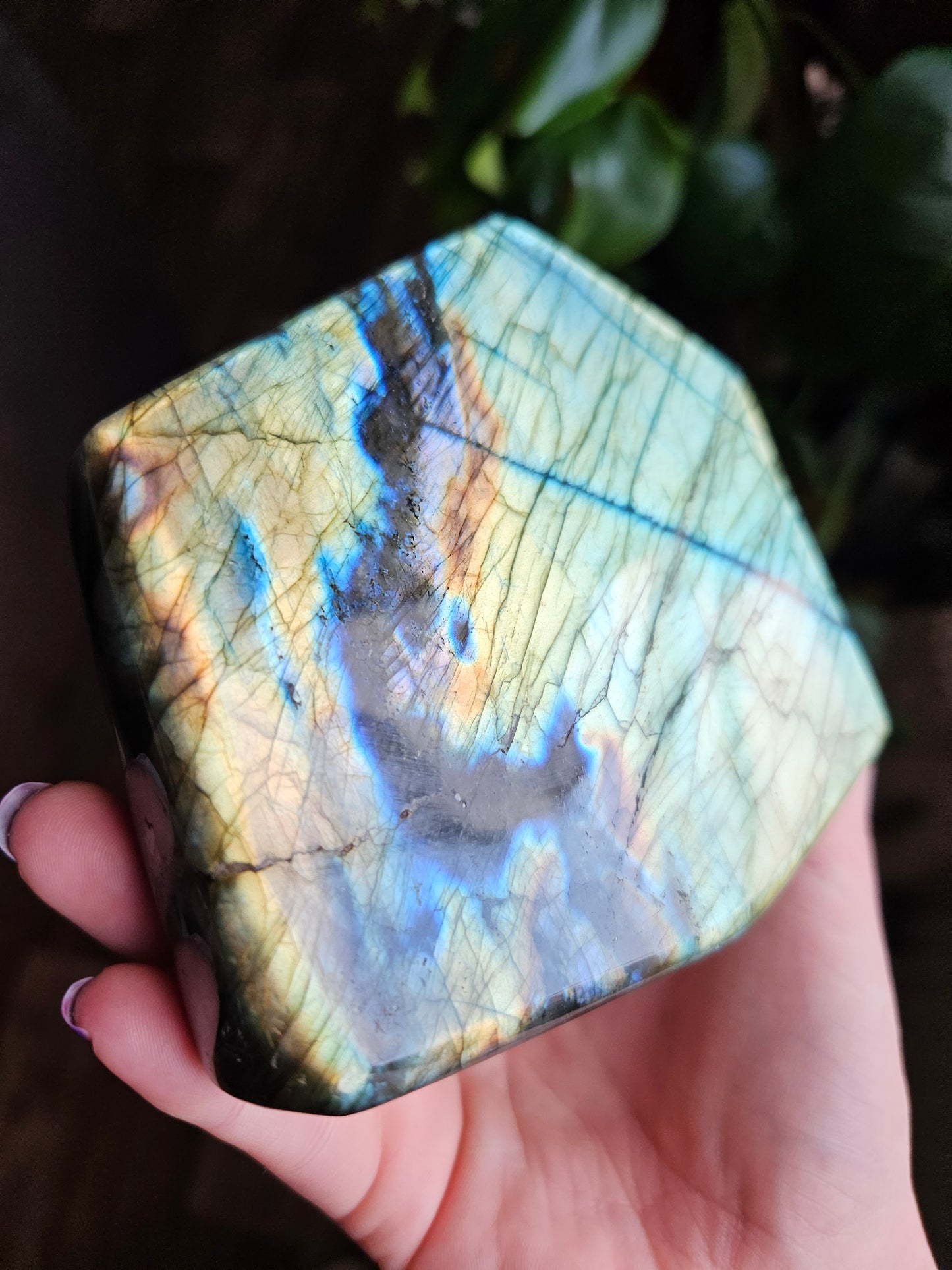 XL Labradorite freeform - 935g