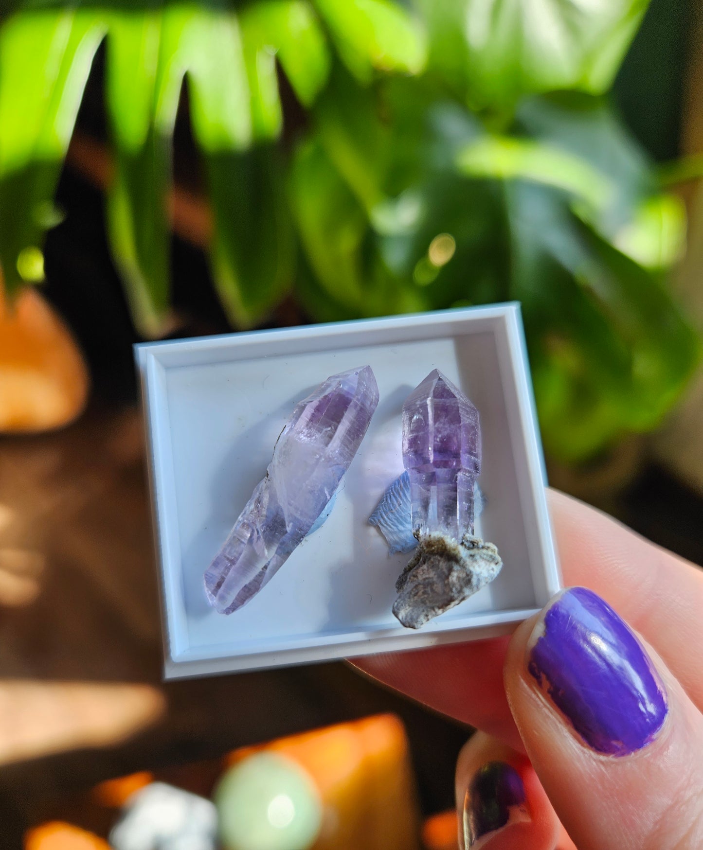 Vera Cruz Amethyst twin points