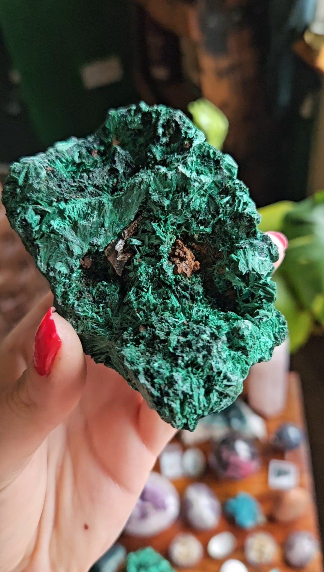 XL Velvet Malachite specimen - 455g