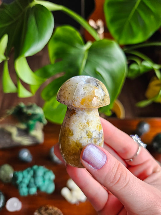 Green Opal mushroom - 100g