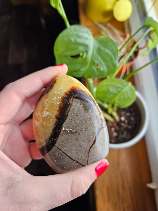 Septarian freeform