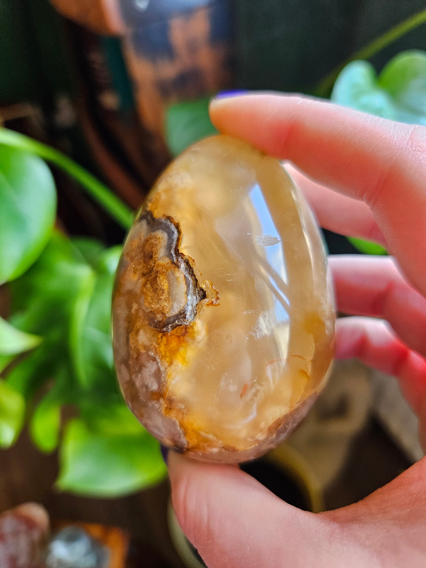 Flower Agate egg