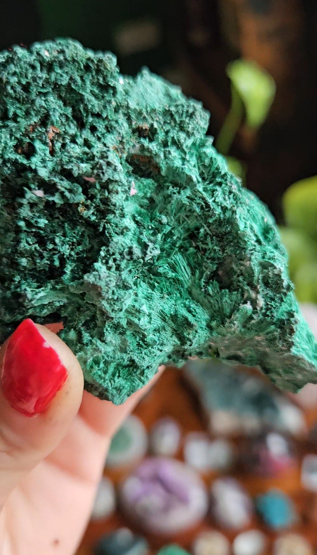 Velvet Malachite specimen - 180g