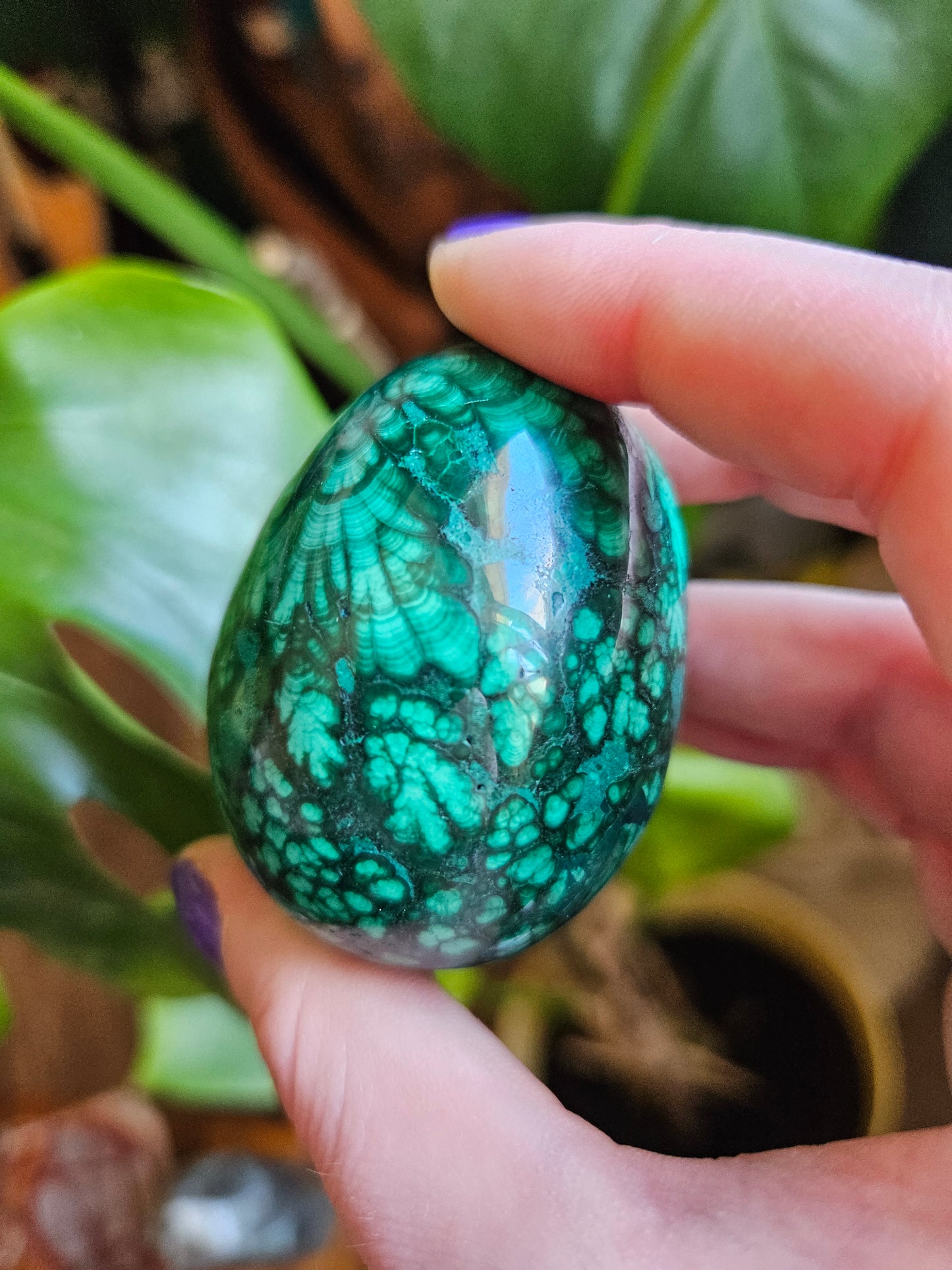 Malachite egg