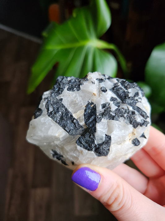 Black Tourmaline in Quartz - 280g