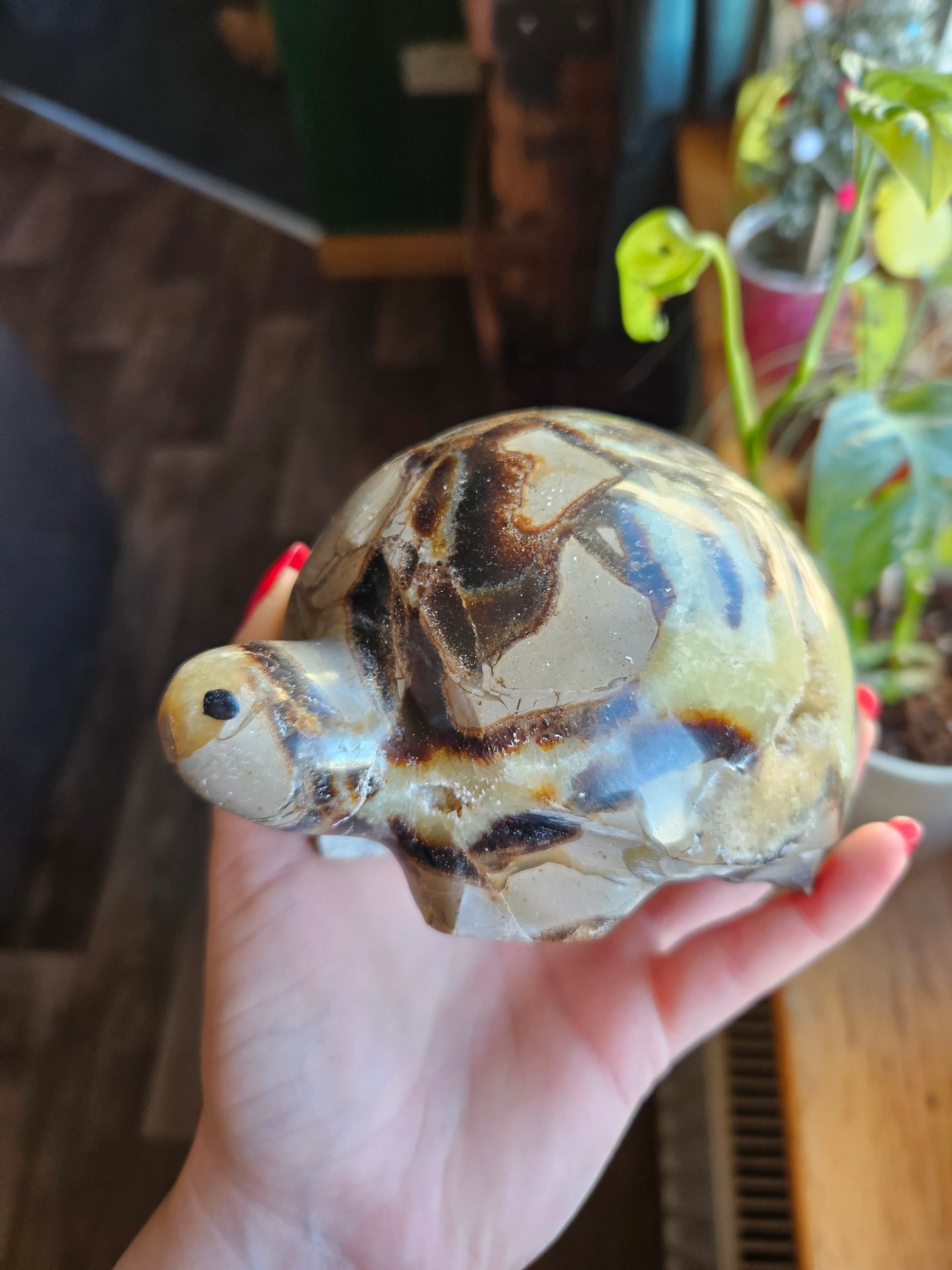 Amazing Septarian turtle carving - 1.1kg