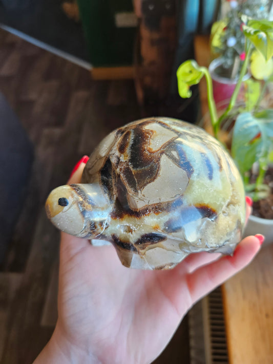 Amazing Septarian turtle carving - 1.1kg