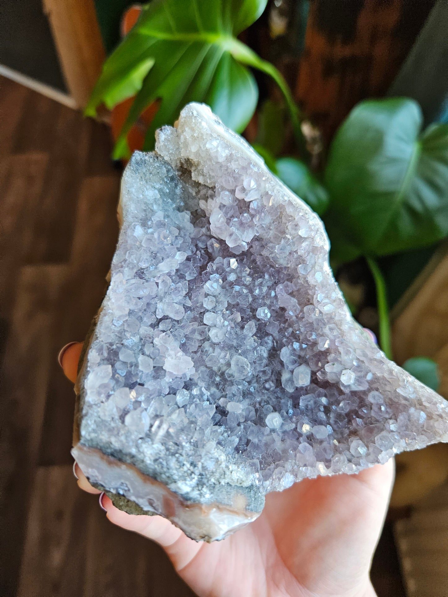 Large Grape Amethyst geode
