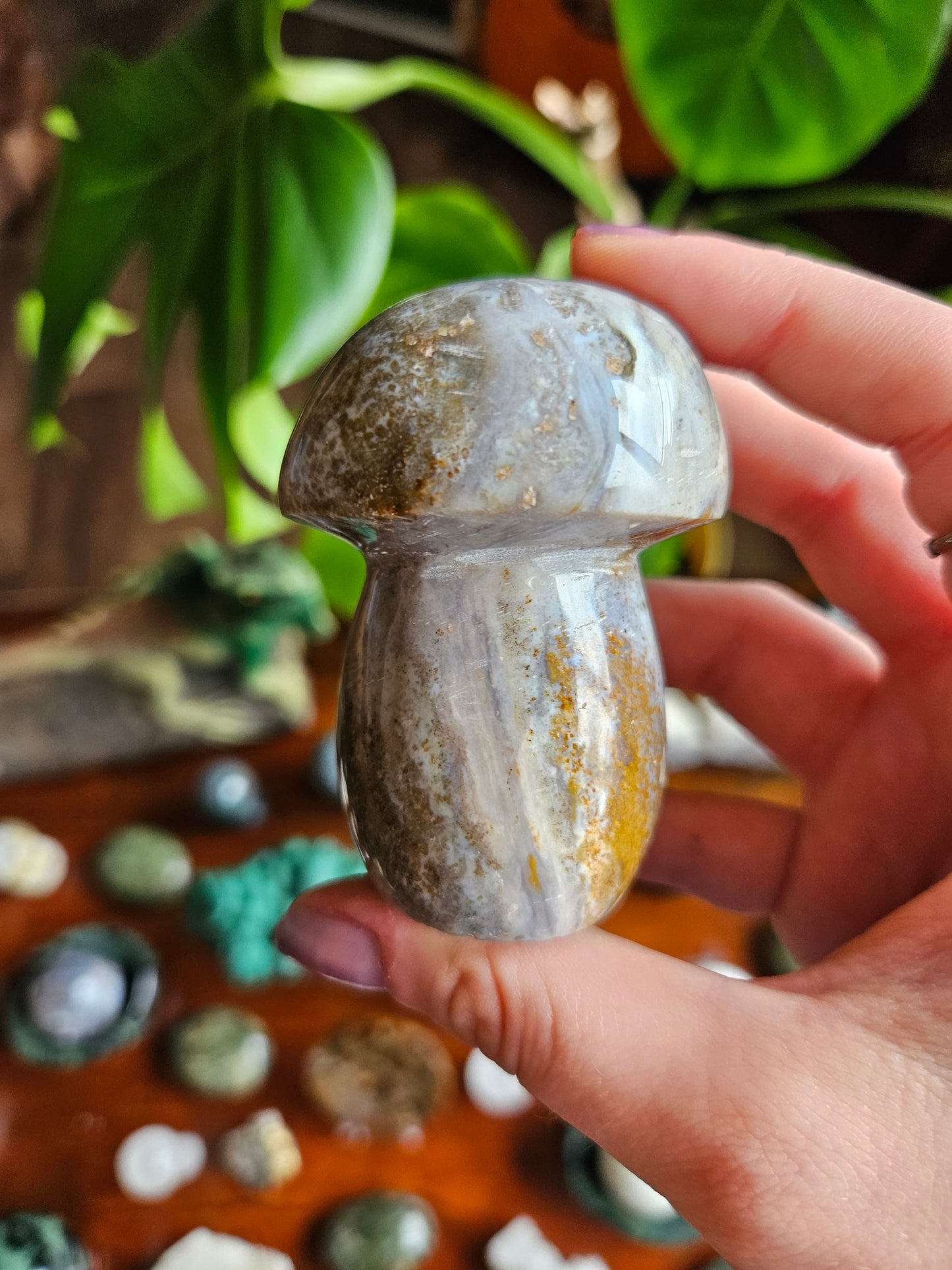 Ocean Jasper mushroom - 210g