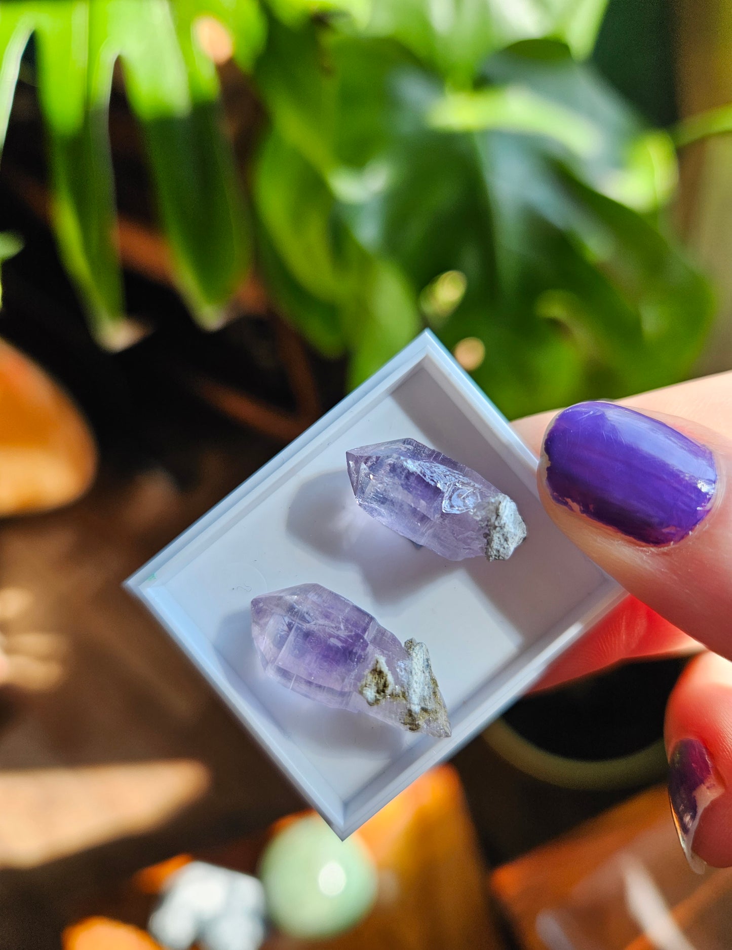 Vera Cruz Amethyst twin points