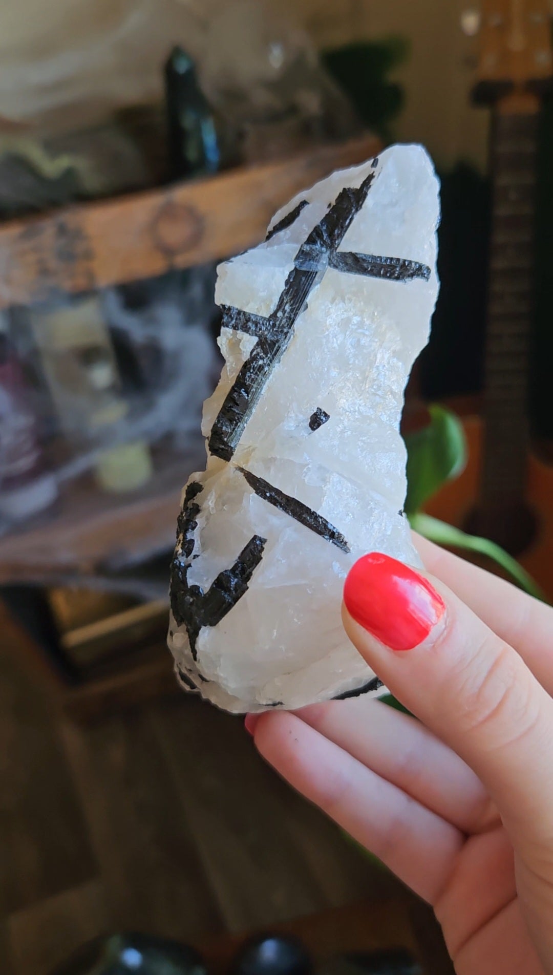 Black Tourmaline in Quartz - 301g
